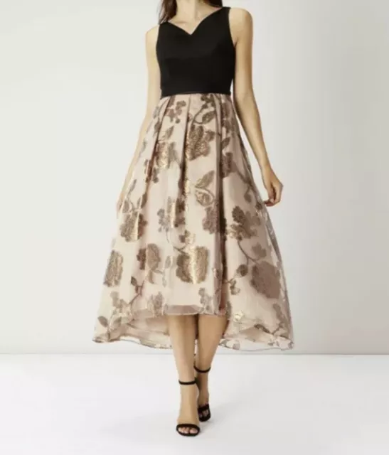 Coast ami roccabella dress sale