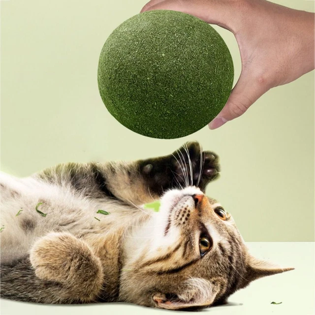 Allevia la noia gatto che insegue la palla gatto teaser giocattoli gatto trattamento gatto palline in zecca