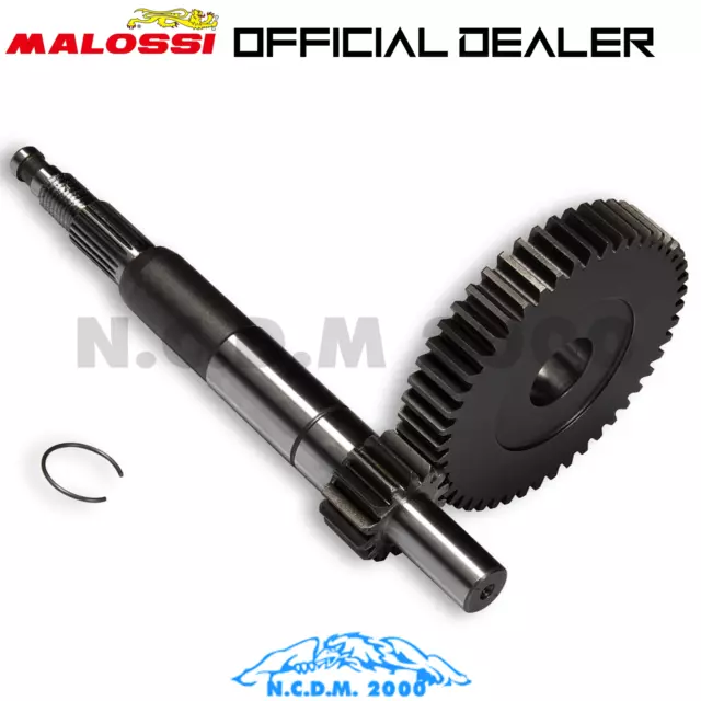 6711602 Gear Reports Primary MALOSSI Z 14/48 Aprilia Scarabeo Street 50