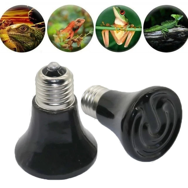 Remplacement de l'émetteur de chaleur 220 V reptile 25-100 W couvre-lit lampe d