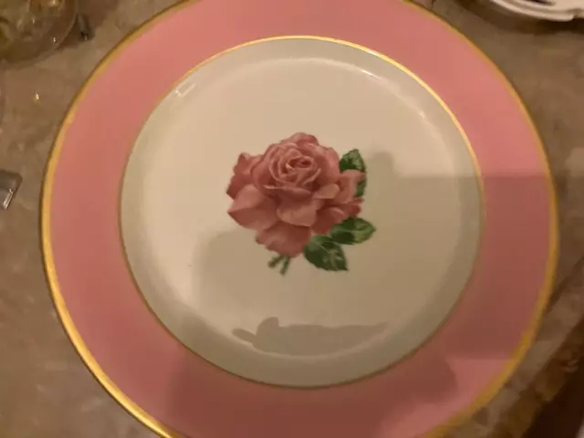 Syracuse China Railroad ? Montrose ? Wild Rose ? Dinner Plate