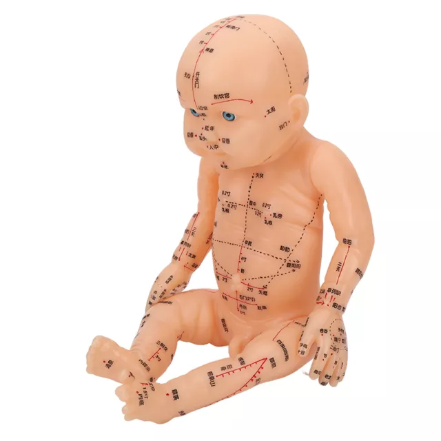 Modèle 'acupuncture Modèle De Massage Pour Enfants Poupée De Formation