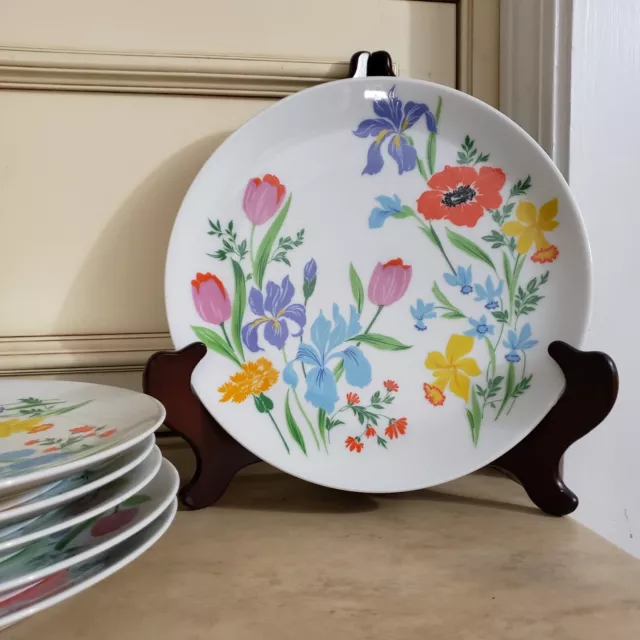 SET OF 6* PRIMAVERA~HEINRICH H & C SELB Bavaria Germany~10" DINNER PLATES~FLORAL