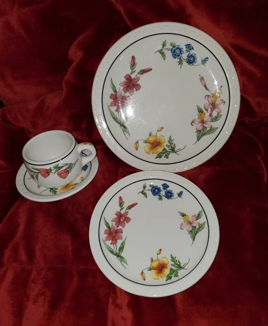 4 Piece Set Lot Southern Pacific Railroad RR China PRAIRIE MOUNTAIN WILDFLOWERS