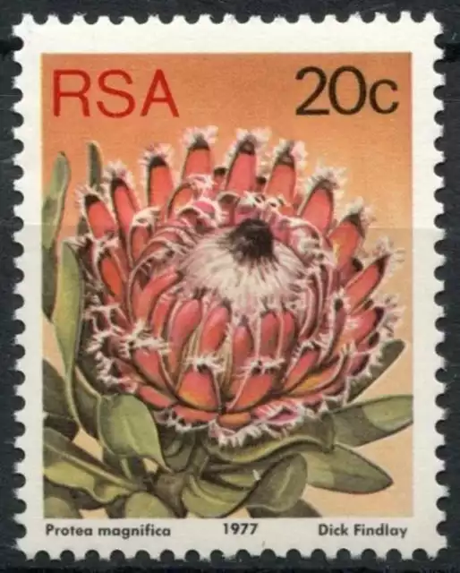 South Africa 1977-82 SG#425b 20c Proteas, Plants Definitive P14x13.5 Litho#E9017