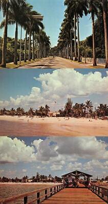 3~Postcards  Florida FL ~  McGregor Boulevard~FORT MYERS BEACH & FISHING PIER