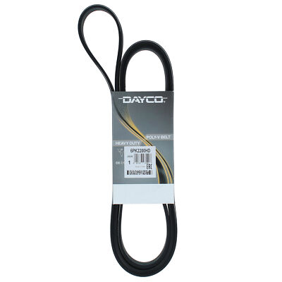 Dayco zeppa NERVATURE CINGHIA 8pk980shd 