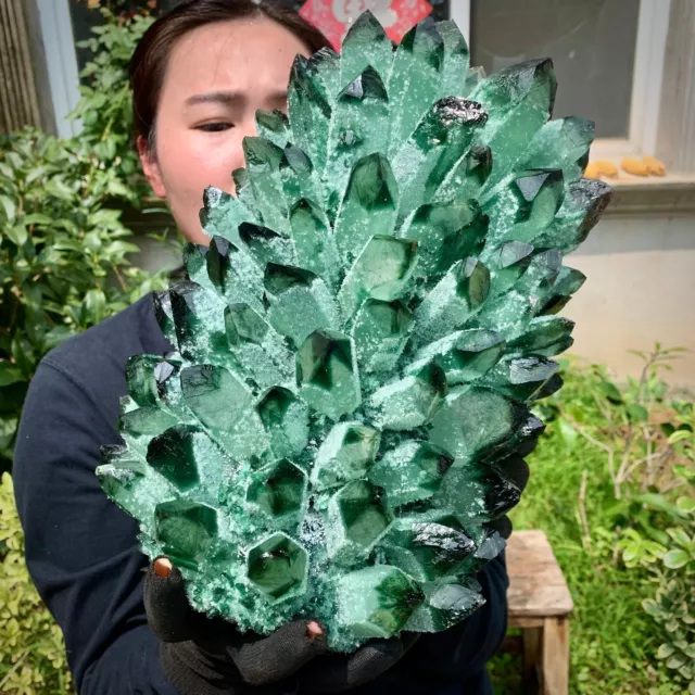 31.24LB   New Find Green Phantom Quartz Crystal Cluster Mineral Specimen Healing 12