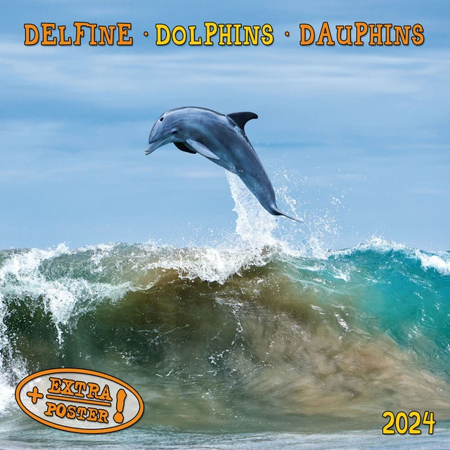 DOLPHINS/DELFINE 2024 Kalender 2024 Kalender Drahtheftung 28 S