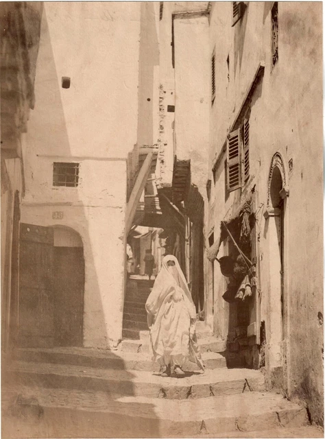 Alger - ALGERIE - SAN51149 - Alger - Vue Prise de la Casbah Alger - ALGERIE - SAN51149 - Alger - Vue Prise de la Casbah