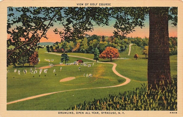 c1940s Drumlins Golf Course Fairway Linen Syracuse New York NY P394