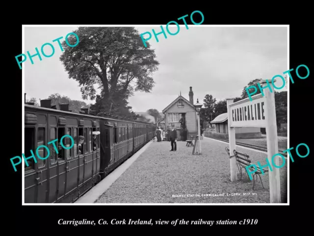 OLD 8x6 HISTORIC PHOTO OF CARRIGALINE CORK IRELAND THE RAILWAY STATION c1910