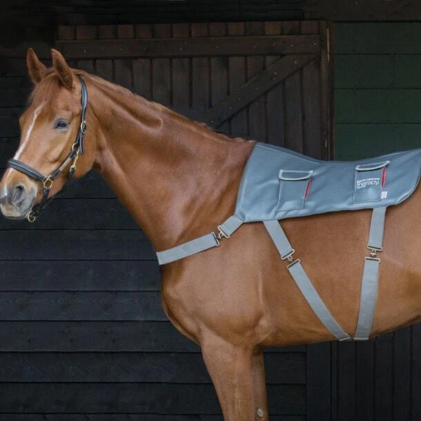 Equilibrium Therapy Horse Massage Back Pad - Standard Size discount...