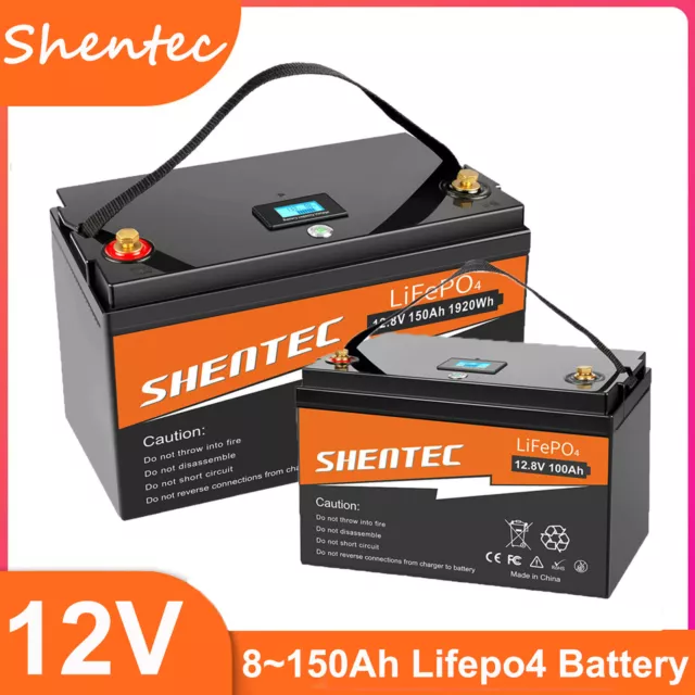 12V 150Ah 100Ah Akku LiFePO4 Lithium Batterie BMS Solar Boot Camping Wohnmobi RV