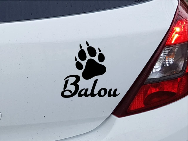 Personalisiertes Pfoten-Aufkleber-Set Mit Namen – Für Hund, Katze, UV-beständig, Hochwertige Qualität