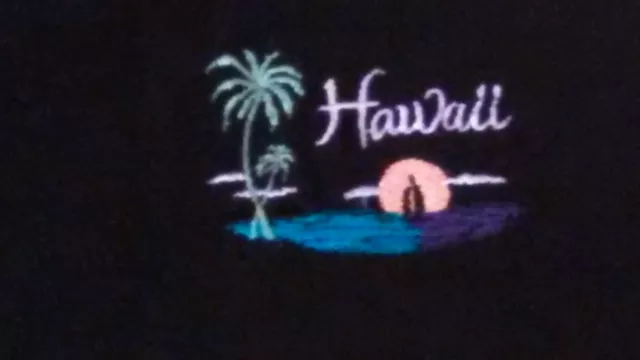 Cotton Deluxe 100% Cotton Black Hawaii 3 Button Short Sleeve Size 2XL T Shirt