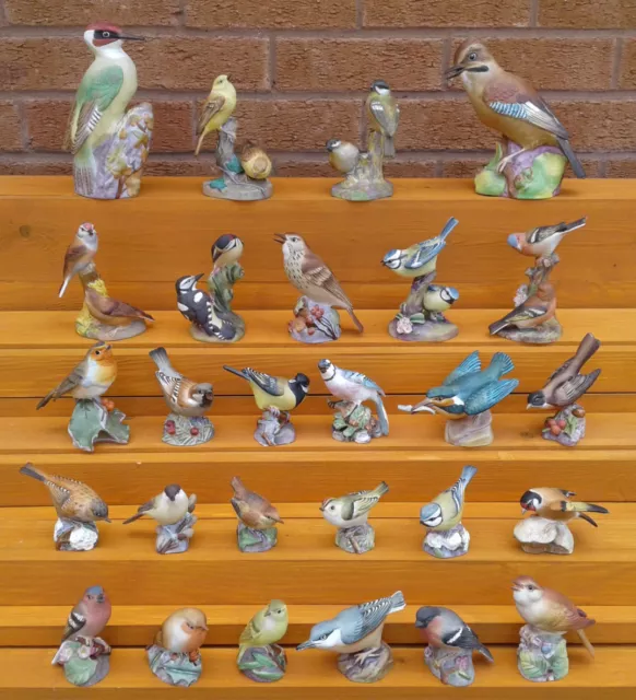 Royal Worcester - Selection Of Fine Bone China Bird Figurines.