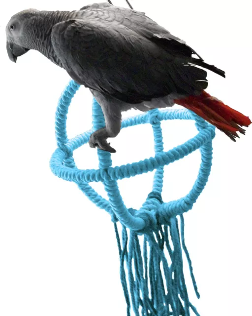 Medium Blue Parrot Orbit Swing Toys Perches