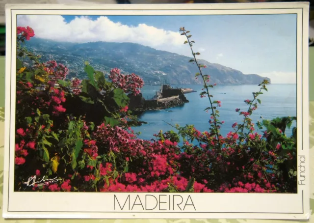 Portugal Madeira Funchal Eastern View of Bay and Town - unposted