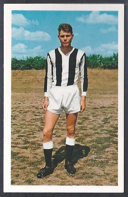 Dandy Gum-Football Clubs & Colours 1960'S-#157- St Mirren - Scotland