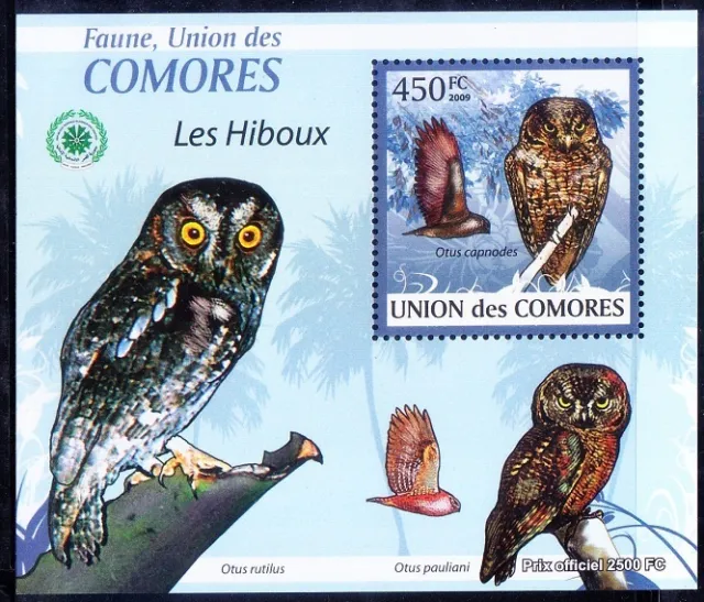Anjouan scops owl, Owls, Birds of Prey, Comoros 2009 MNH Sheet