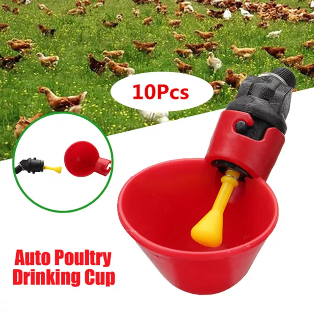 10X Poultry Water Drinking Cups Chicken Hen Duck Quail Automatic Drinker Feeder