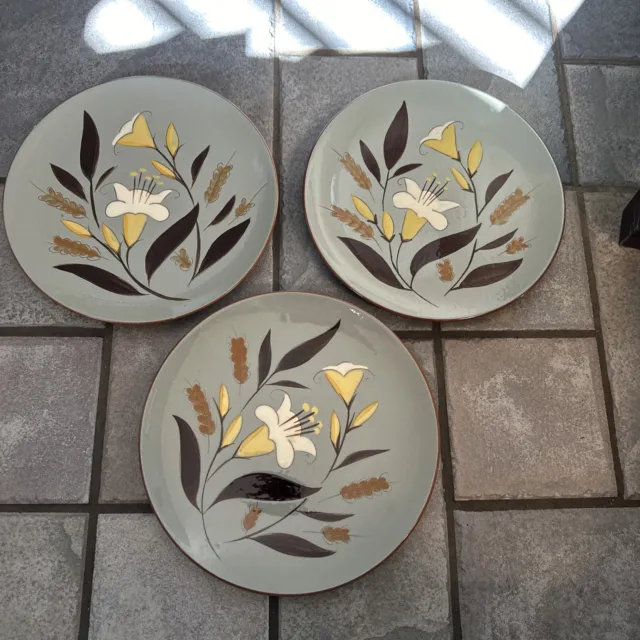 MCM Stangl Pottery Golden Harvest Pattern 10" Dinner Plates  Set of 3 Floral