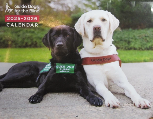 2025 2026 GUIDE DOGS For The Blind Fifteen Month Wall Calendar 4 15 2025 2026 Guide Dogs For The Blind Fifteen Month.webp