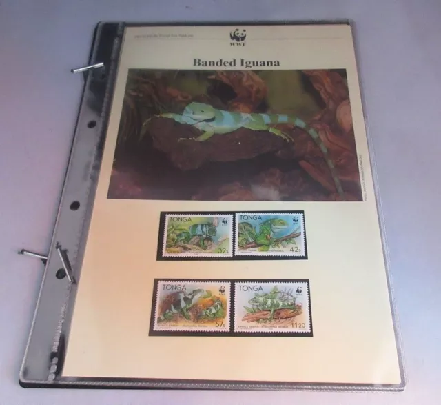 Banded Iguana WWF Info Sheets Exclusive Stamps from Tonga and FDC's