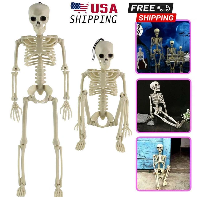 HALLOWEEN HUMAN SKELETON Oversized Poseable Life Size Decoration Party