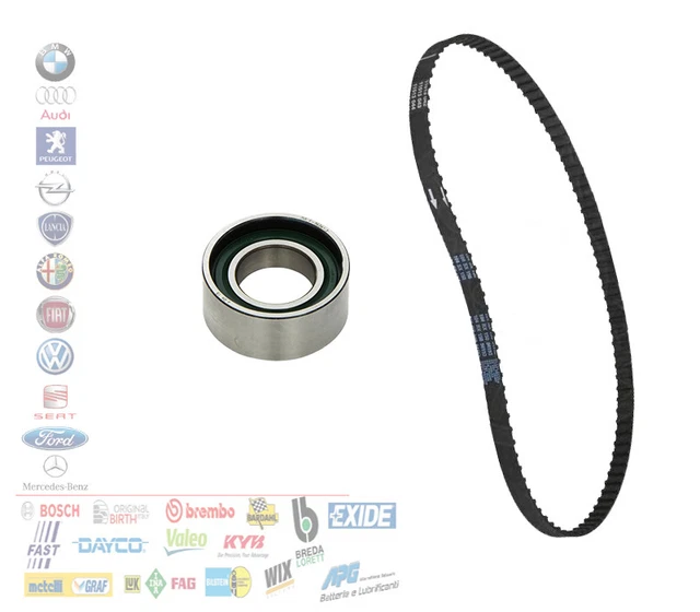 Set Cadena de Distribución Completo Fiat Quinientos Seicento