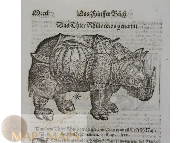 The Rhinoceros, David Kandels 16th century woodcut by Conrad Gessner 1551