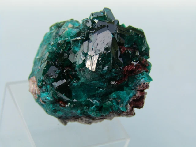TOP Dioptas auf Calcit Tsumeb Mine Namibia