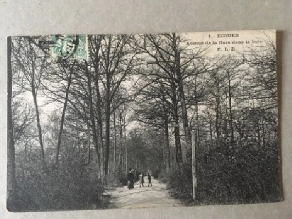 Cpa Ecouen (95) Avenue De La Gare Dans Le Bois
