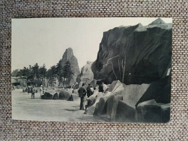Cpa Wood Zoological Park Of Vincennes Bear Rock View