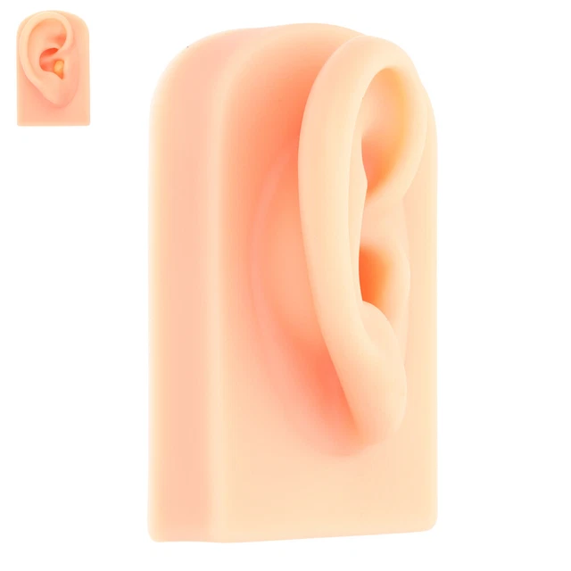 Modelo de oreja humana de silicona joyería pendiente pantalla modelo de oreja práctica de enseñanza