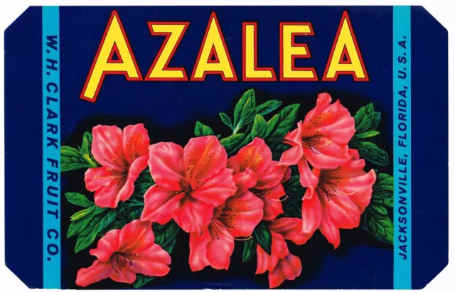 AZALEA FLOWERS CRATE LABEL FLORIDA 6x9" JACKSONVILLE GENUINE 1930S WH CLARK