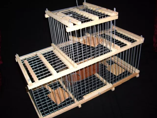 Trap Cage with 3 Traps for birds 2