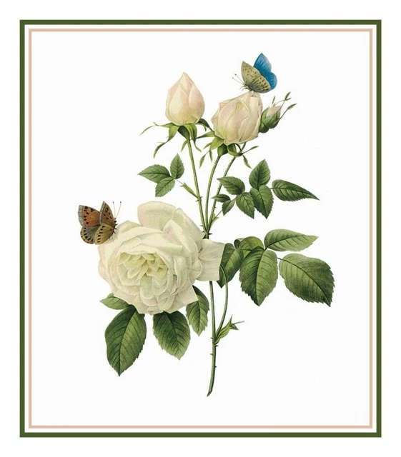 Tuberose Flower Illustration Inspired By Pierre-Joseph Redoute Counted Cross Stitch Pattern