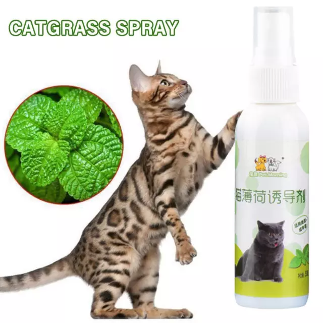 Herbal Catnip Spray 30ml Cat Toys and Scratch Post Cat Nip Natural-Organic