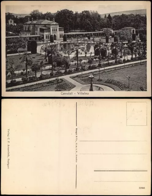 Cannstatt-Stuttgart Kgl. Schloß Wilhelma - Anlagen und Palmen 1912