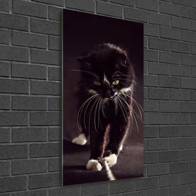 Wand-Bild Kunstdruck aus Hart-Glas Hochformat 50x100 Schwarze Katze