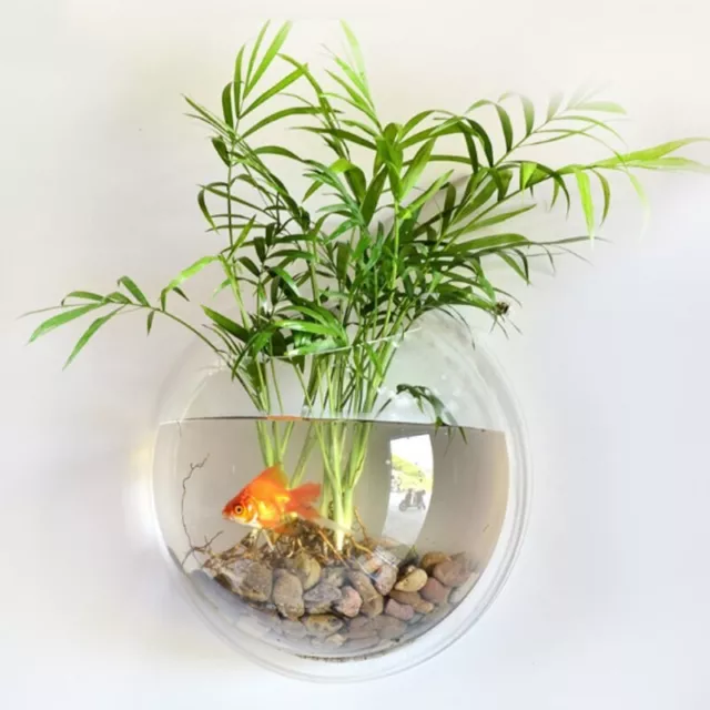 Wall Mounted Hanging Fish Bowl Aquarium Tank Fish Plant Vase Home Decoration Pot