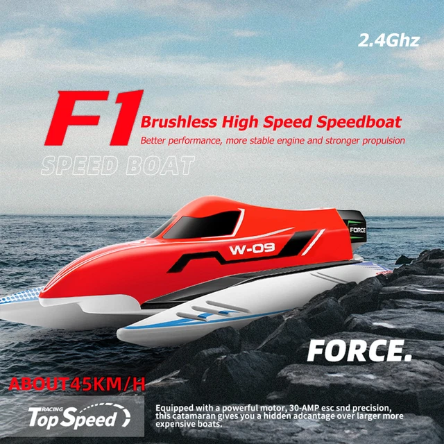 WLTOYS WL915A RC Speed Boat 2.4GHz 2CH 45km/h Brushless Motor Racing
