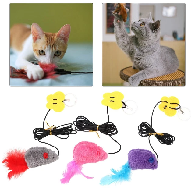 Jouets pour chat Jouet sonore Teaser Jouets Attrape-jouet avec cadre de porte à