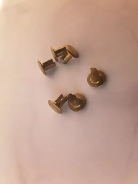 Rivetti 4 mm x 6,5 mm gamba divisa biforcati ottone massiccio testa ovale quantità 6