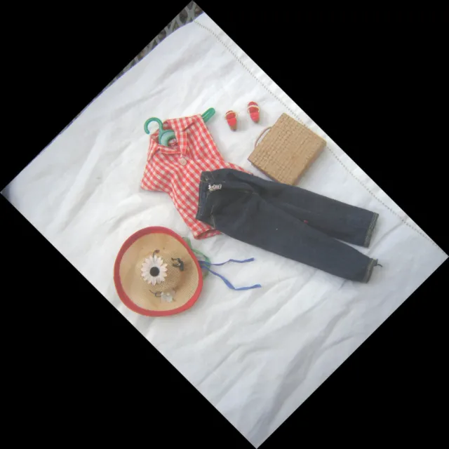 https://www.picclickimg.com/WhgAAOSwVM9lrgPR/Vintage-Barbie-Picnic-Set-967-Complete-Outfit-Hat.webp