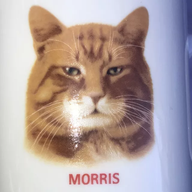 Morris the Cat White Ceramic Coffee Cup By Papel