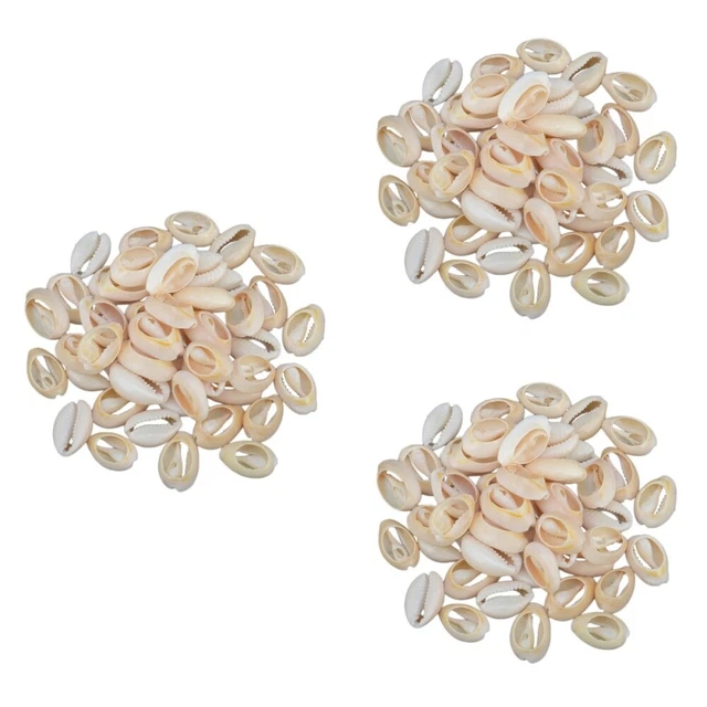 150 Pcs Anhänger Zur Schmuckherstellung Trendiges Dekor Muschelperlen Dichtung