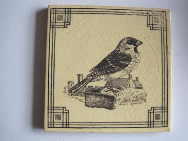 Antique Victorian 6" Maw & Co English Birds Series House Sparrow Tile C1880-90